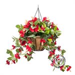 JARDINIÈRE SUSPENDUE D’HIBISCUS ROUGES